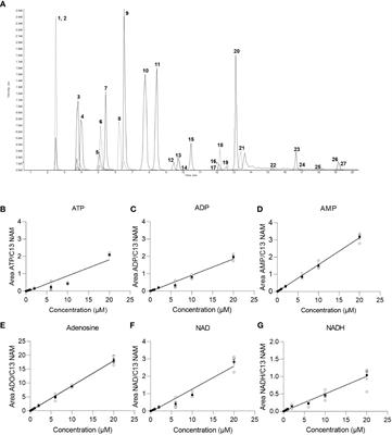 A liquid chromatography-tandem mass spectrometry based method for the quantification of adenosine nucleotides and NAD precursors and products in various biological samples
